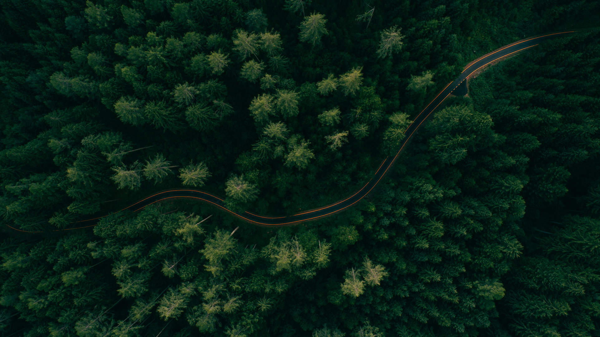 Aerial View of a Road in the Middle of the Forest
